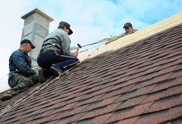 Best Metal Roofing Contractor  in Jemison, AL